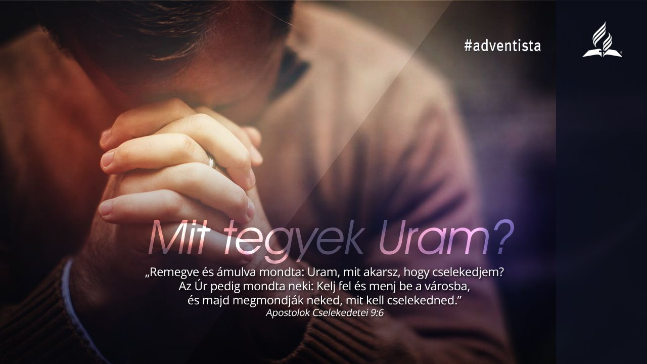 Mit tegyek Uram?